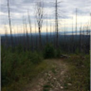 Meet your Posher, Shae-lynn